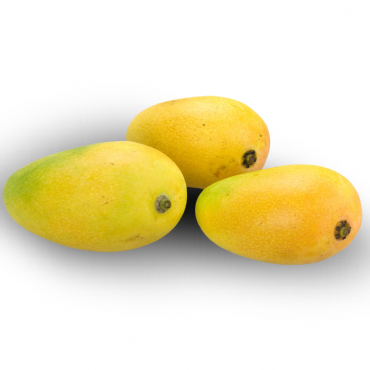 GIR KESAR MANGO TALALA - 10 KG