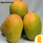 Kesar Mango 5 kg